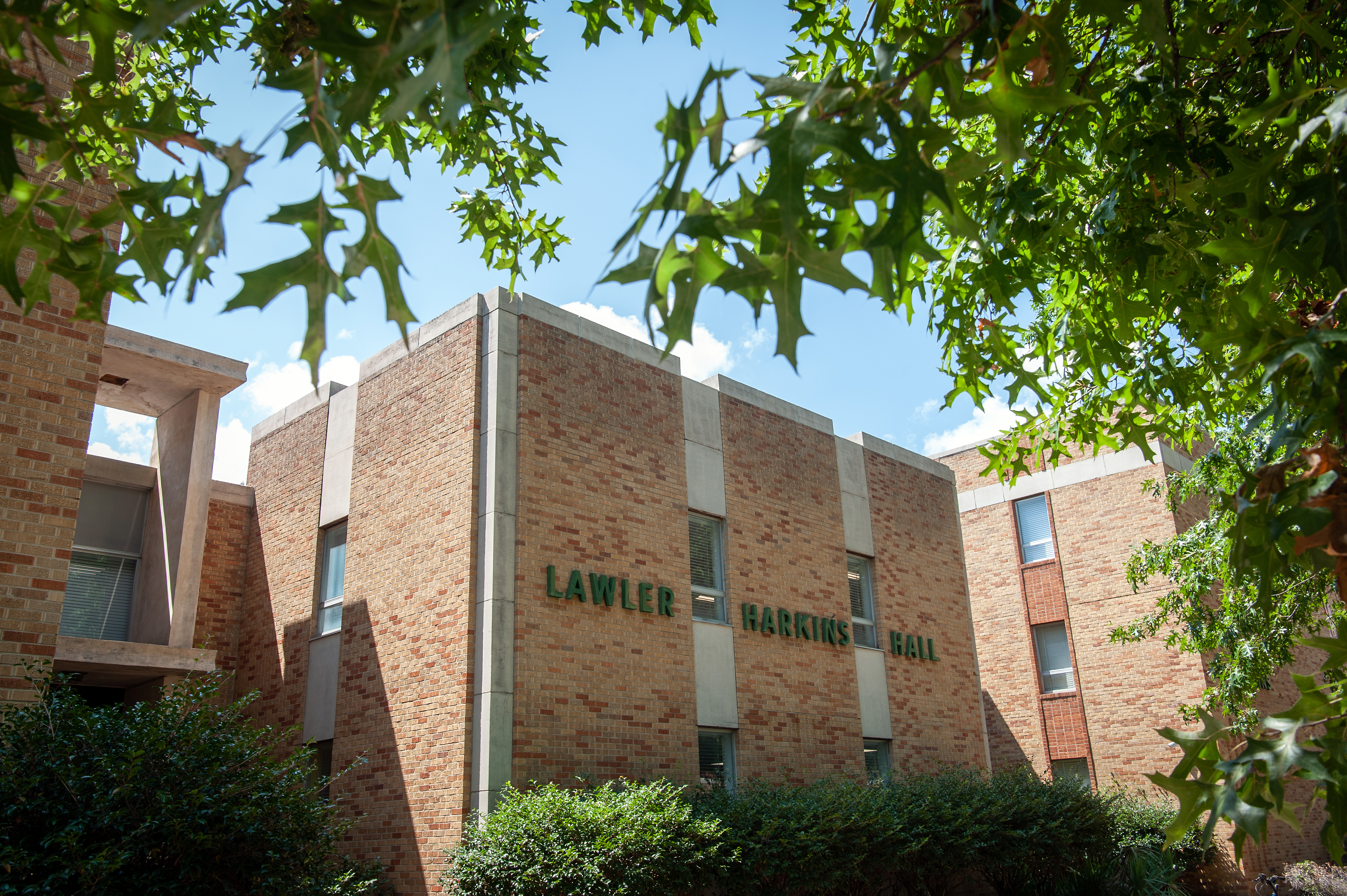 Delta State University_image_4